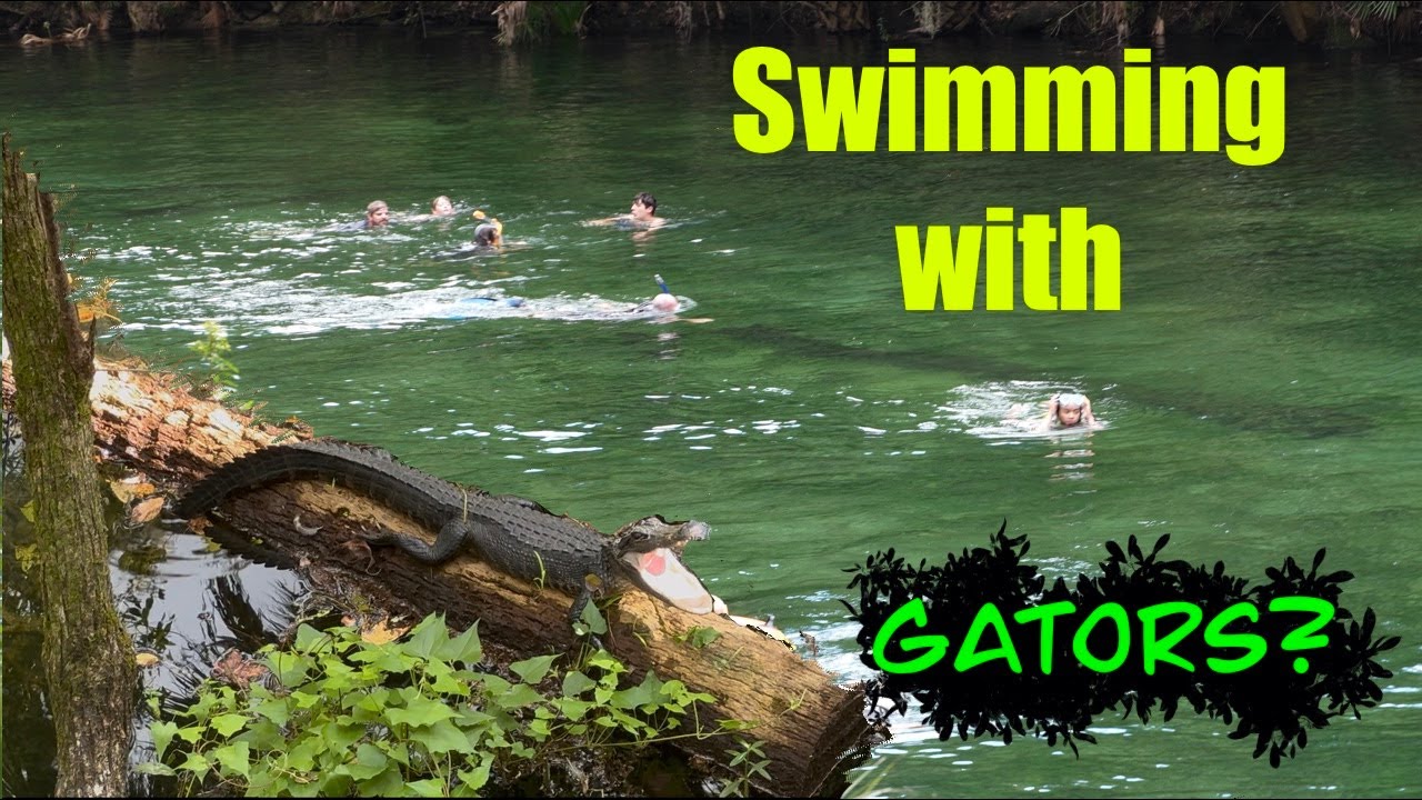 Blue Springs State Park RV Camping: Alligator Spotting & Bike Adventures in Florida