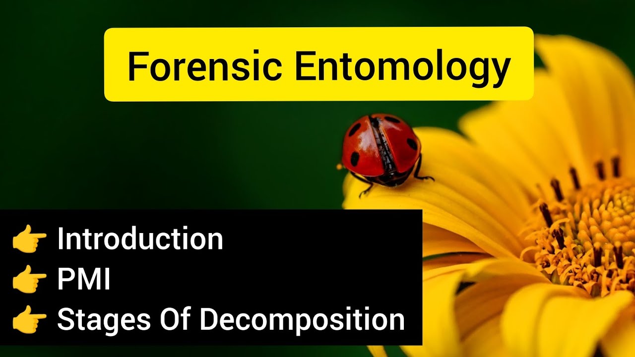 Forensic Entomology|| Introduction|| Stages Of Decomposition|| Post Mortem Interval