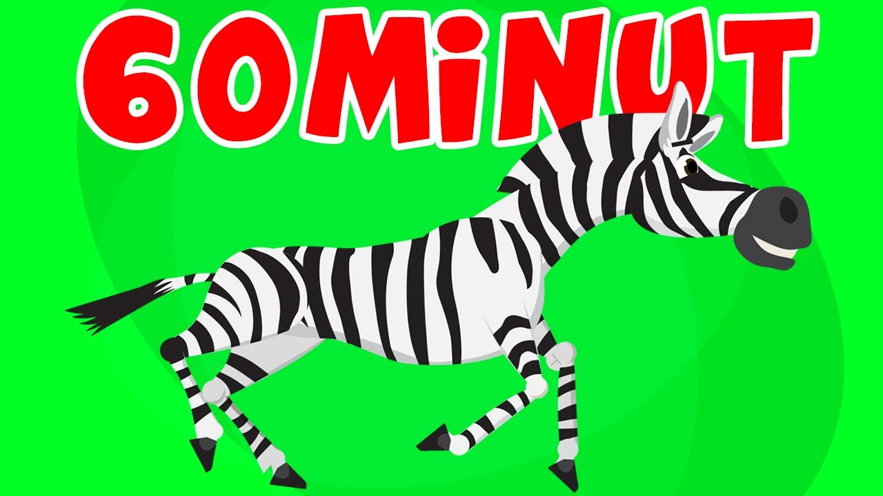 MIX - PANI ZEBRA - ŚPIEWAJĄCE BRZDĄCE | GODZINA PIOSENEK DLA DZIECI 😀😍😀