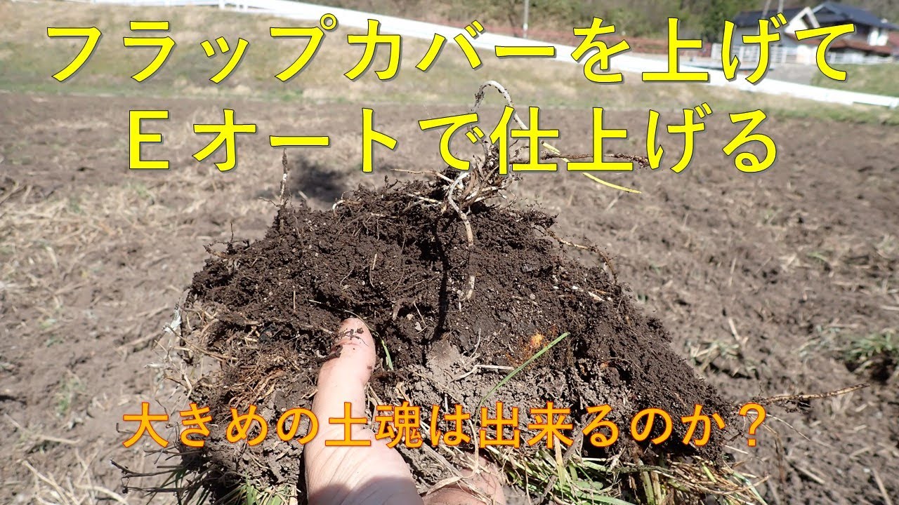 第２０１回　Ｅオートを使ってみる（後編）