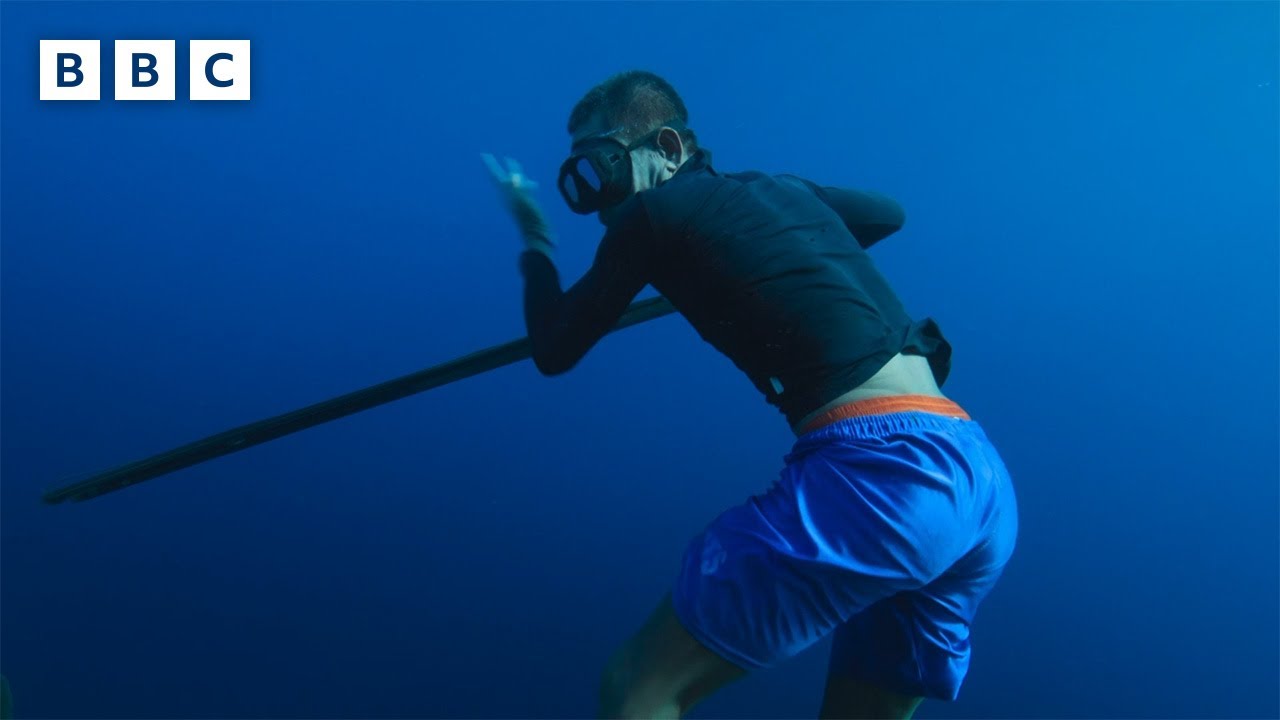 Diver can hold breath underwater for INSANE 10+mins 🐠 | Wilderness with SImon Reeve - BBC