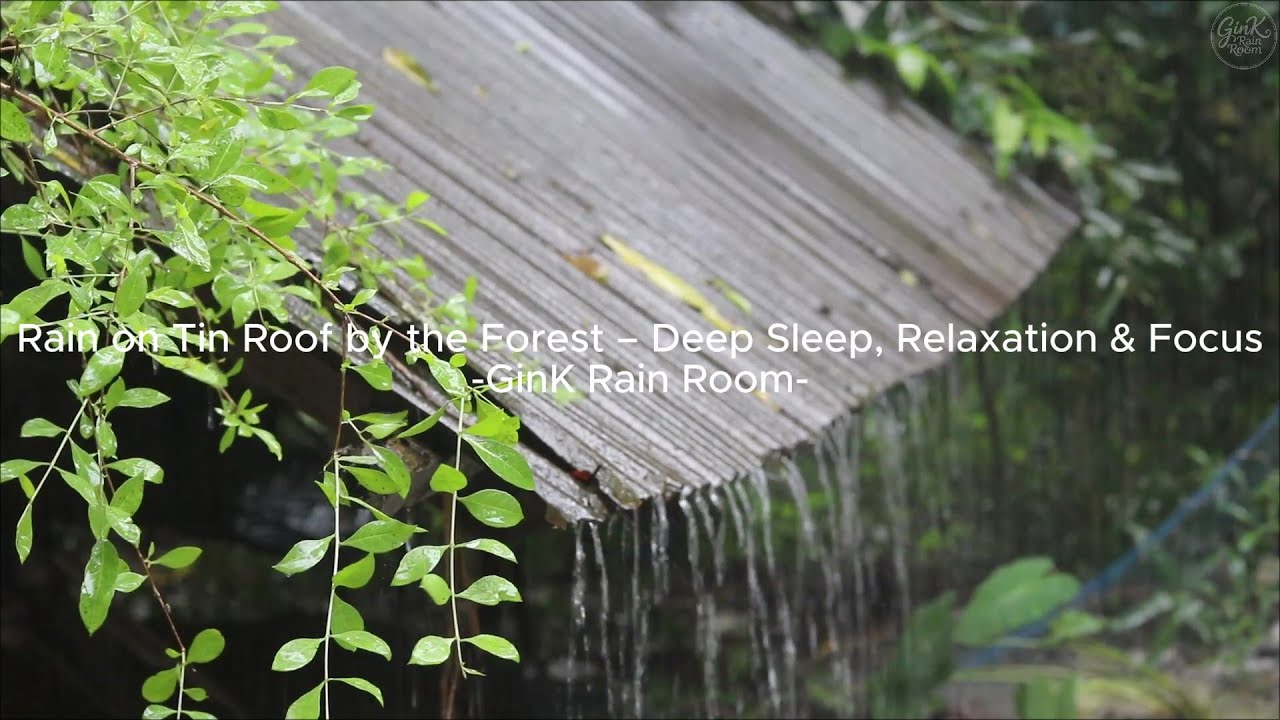 Rain Sounds #069 – Rain on Tin Roof by the Forest – Sleep, Relaxation & Focus | No Ads | 12 Hours