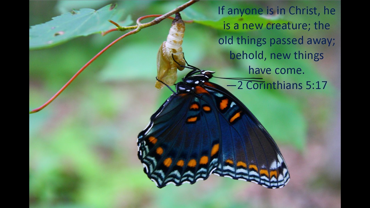 All Things Must Be Become New! | 2 Corinthians 5:14-21