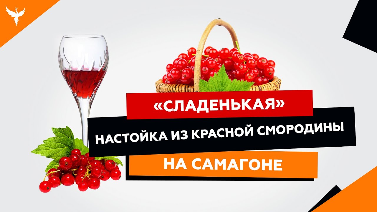 рДЖ 19: 