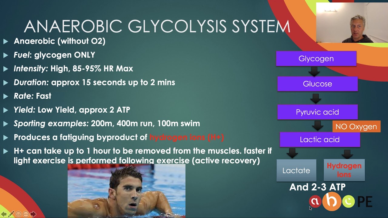 Energy Systems Anaerobic