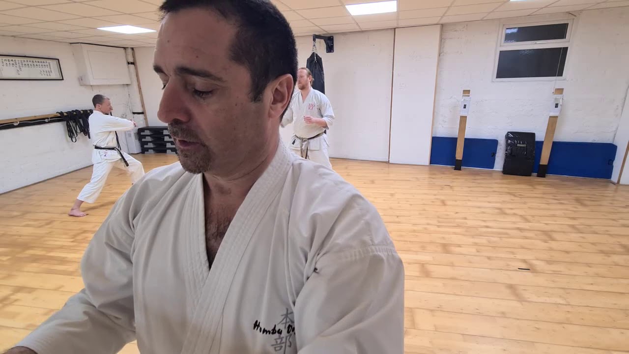 HDKI Headquarter Training - Special Tekki Shodan