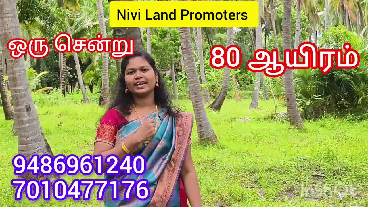 ஒரு சென்று 80 ஆயிரம் விலையில் நாகர்கோவில் அருகே ஒரு அழகான தென்னந்தோப்பு விற்பனைக்கு உள்ளது 