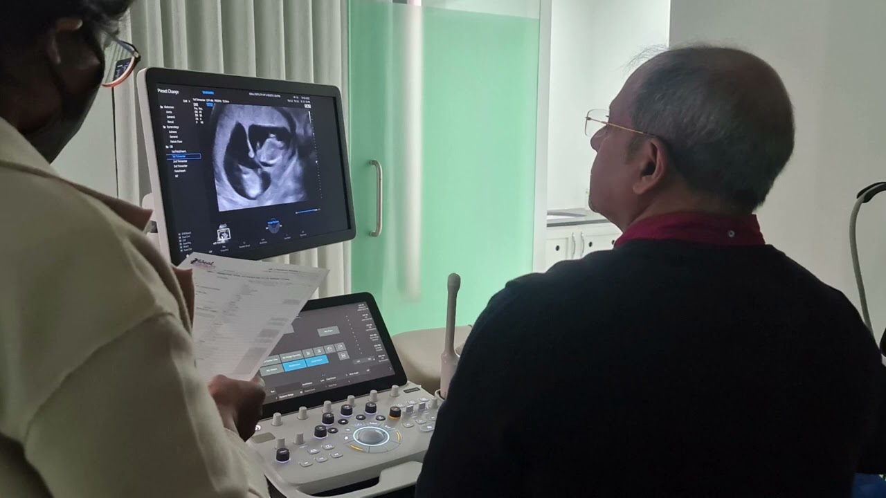 IVF twin for NT scan