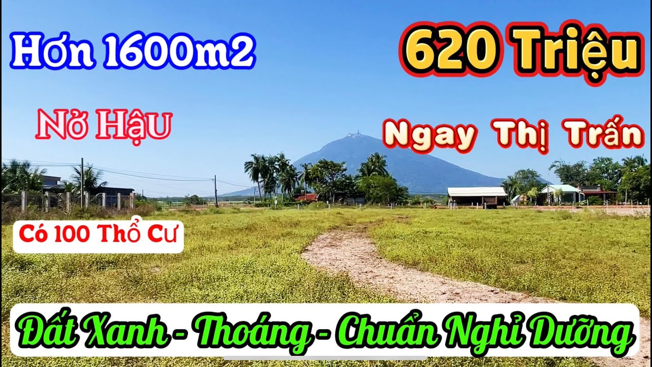 ( Đã Bán) BÁN NHƯ CHO! 1.600m² NỞ HẬU NGAY THỊ TRẤN Chỉ 620 Triệu – Nghe Giá Muốn Xỉu!