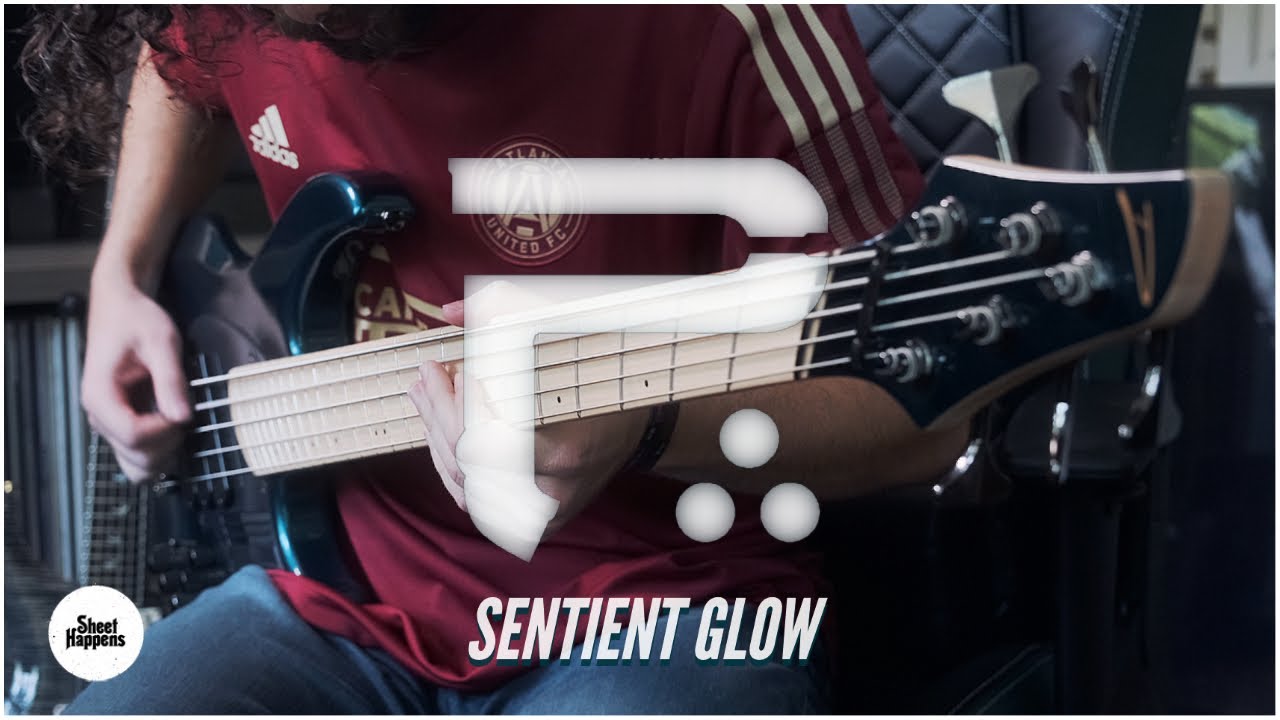 Sentient Glow - Periphery (Guitar/Bass Cover) - PRS Custom 24/Dingwall NG3
