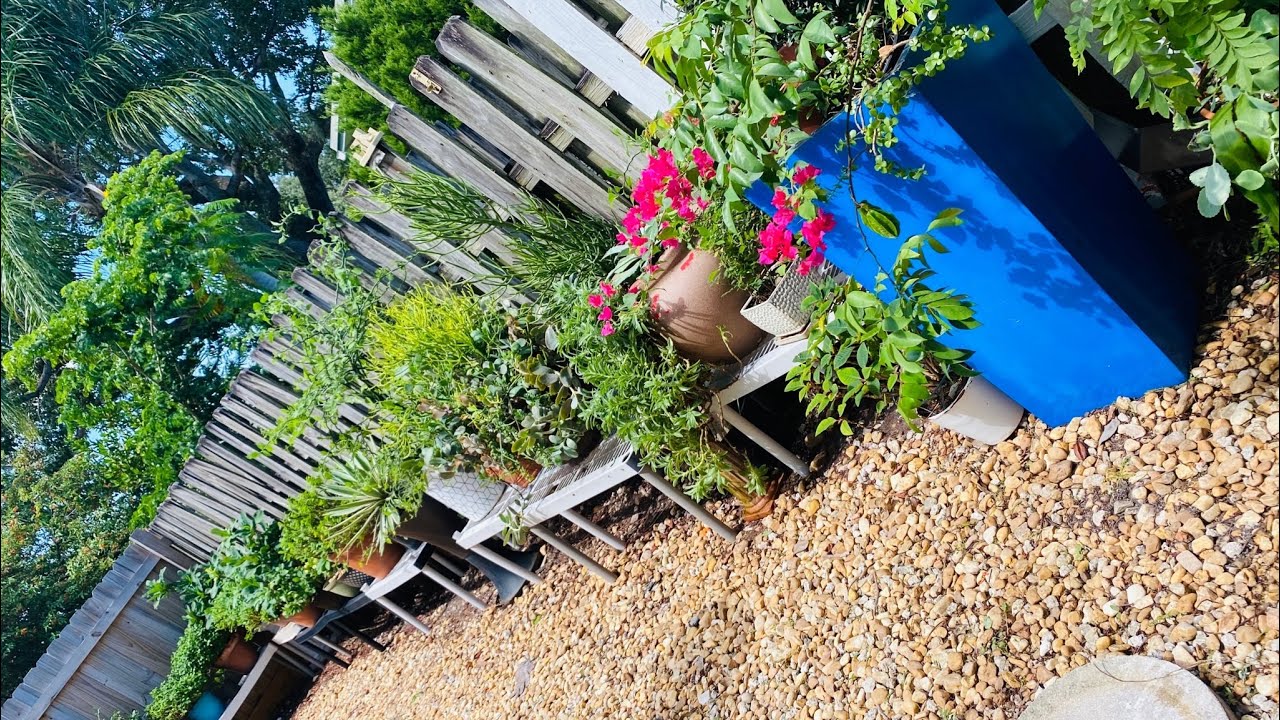 Limpiando mi JARDÍN ABANDONADO- Mi jardín es un caos!.😱