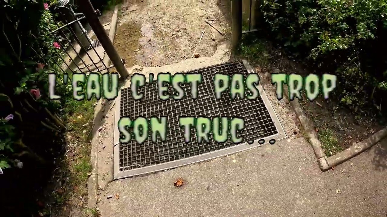 ballade dans le petit porteur ‐
