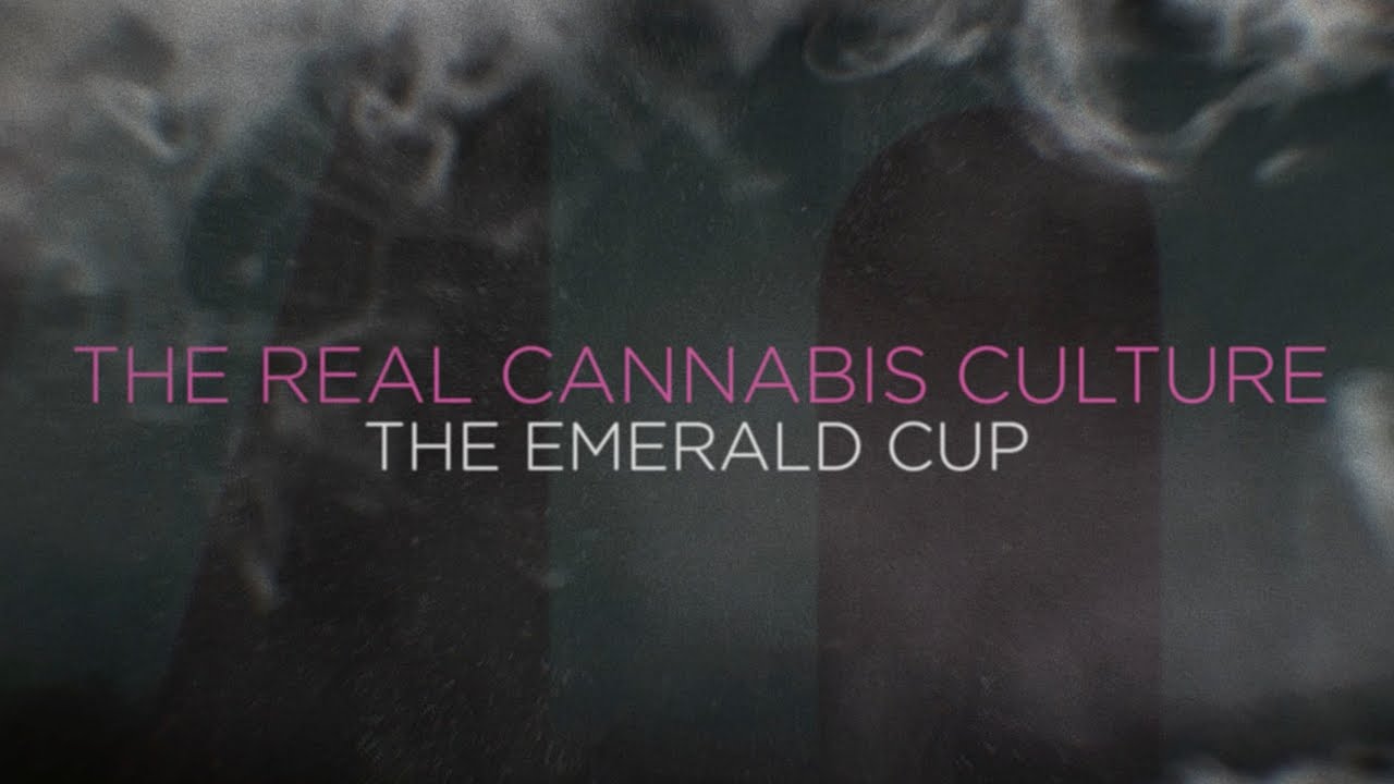 The Real Cannabis Culture