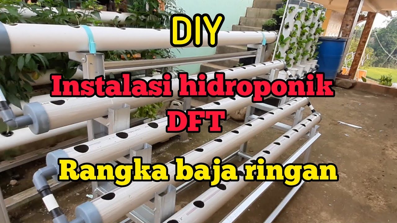 DIY membuat instalasi hidroponik sistem DFT mudah dan simpel