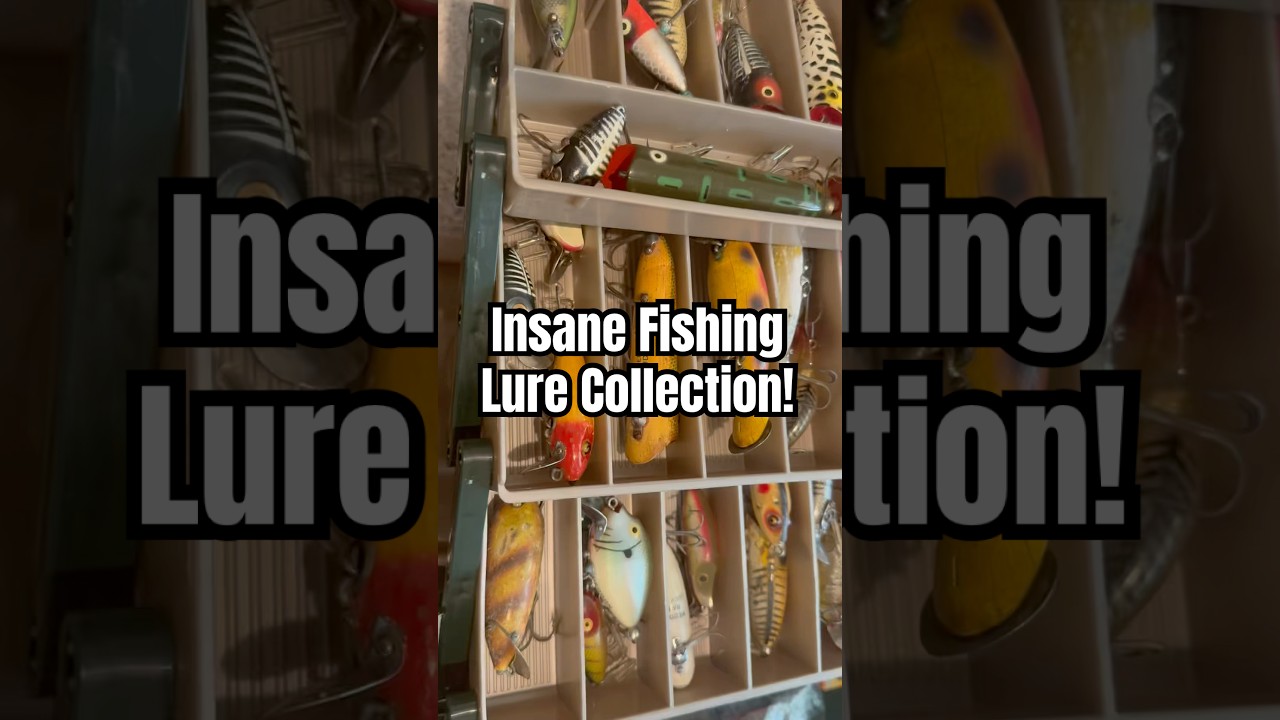 This antique fishing lure collection is insane! Comment if you want to see more!