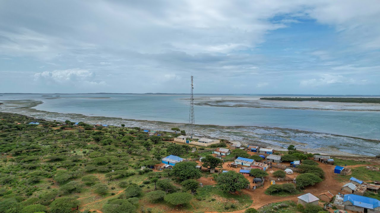 Invisible Heroes Who Defended Somalia’s Forests