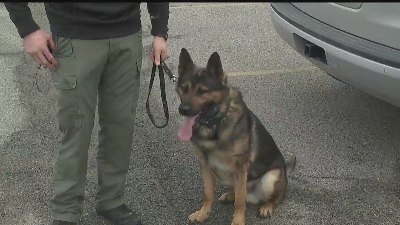 DEA: K-9 officers aid in nationwide fight against fentanyl