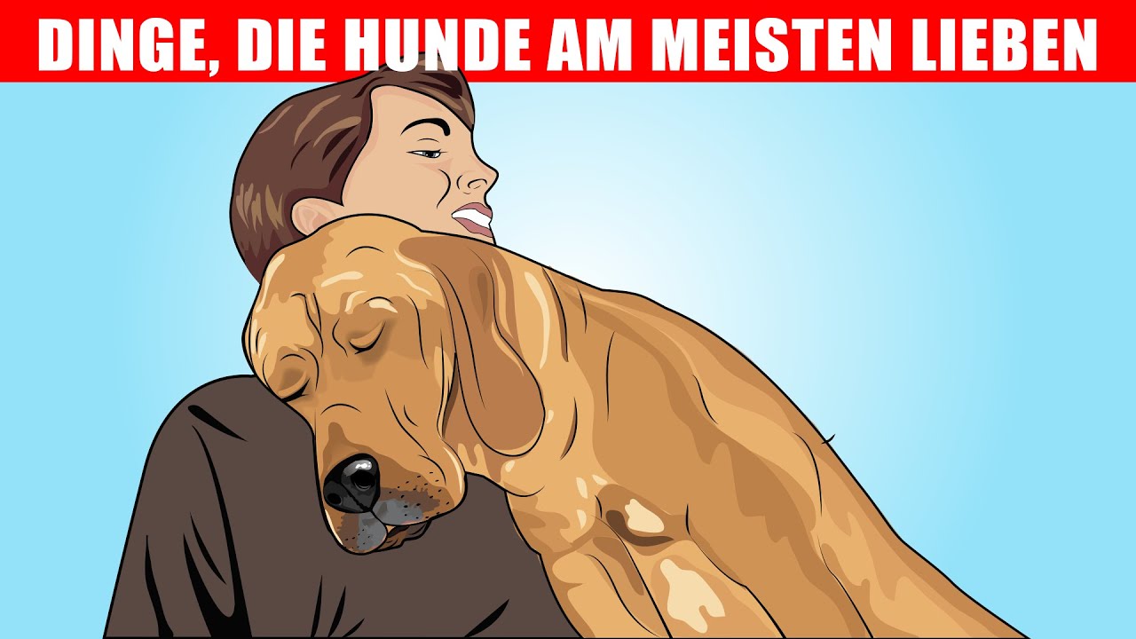 15 Dinge, die Hunde am meisten lieben