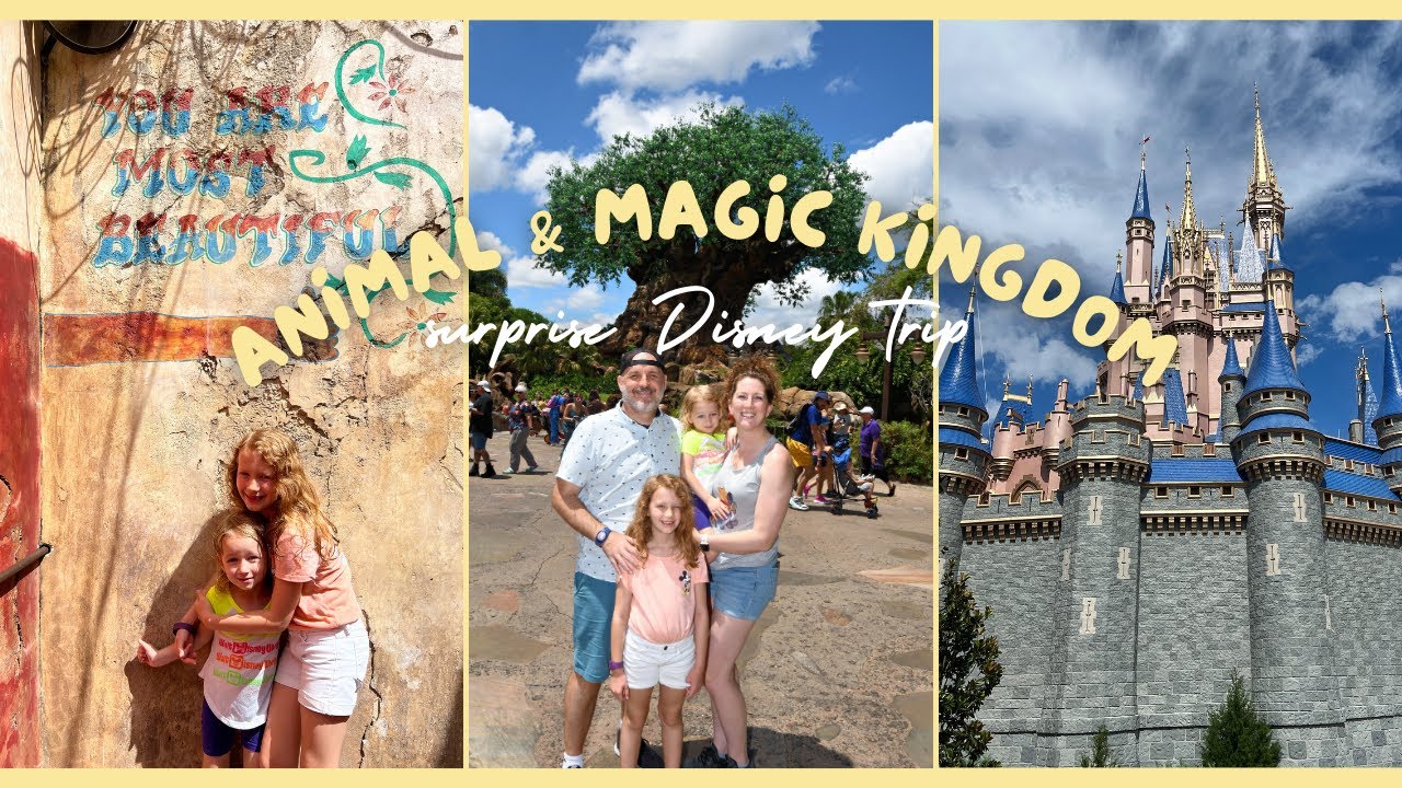 Видеоблог из Animal Kingdom и Magic Kingdom с нашими девочками || День 3 неожиданной поездки