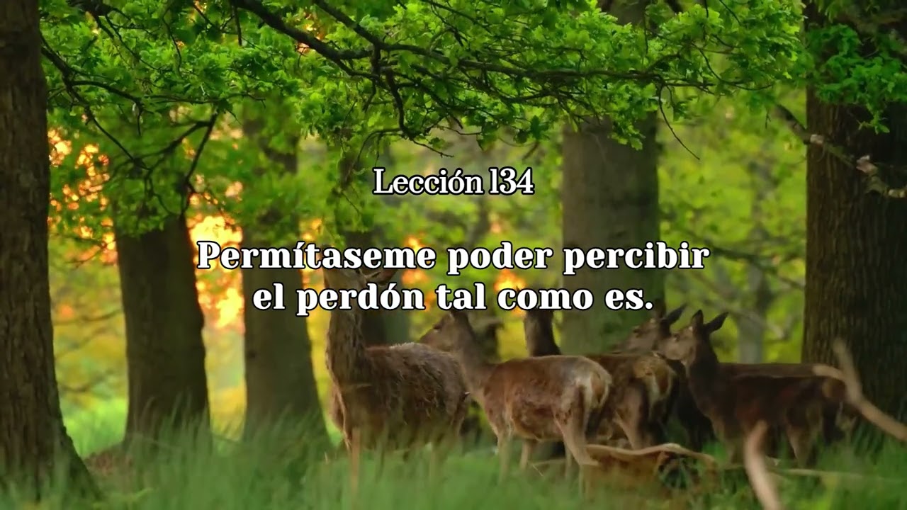 Lección 134 - UCDM