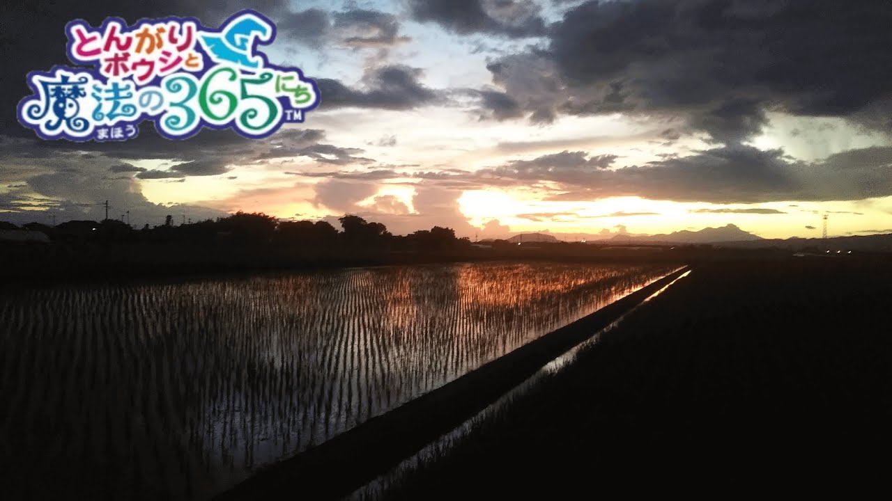 夏の夕方 (Polovtsian Dances) 【とんがりボウシ】【BGM】#とんがりボウシ