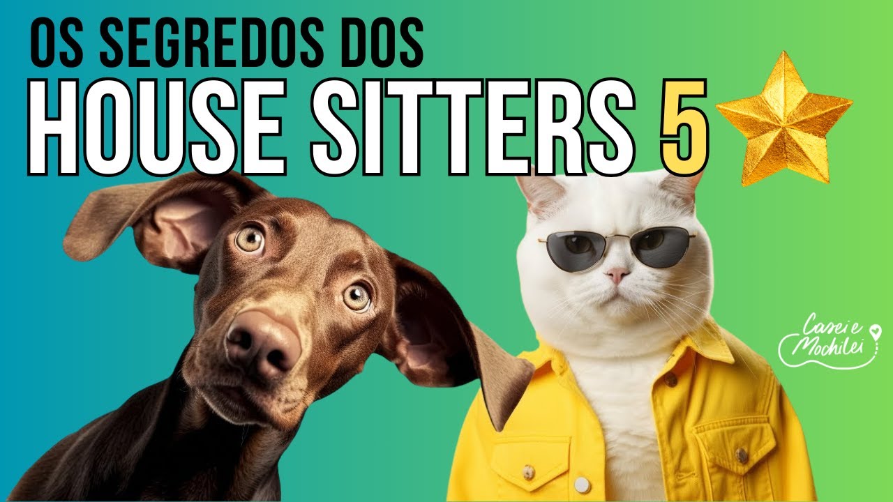 Principais dúvidas de como COMEÇAR NO HOUSE E PET SITTING