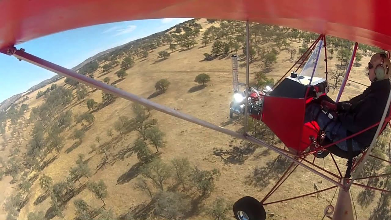 Legal Eagle Saturday Flight