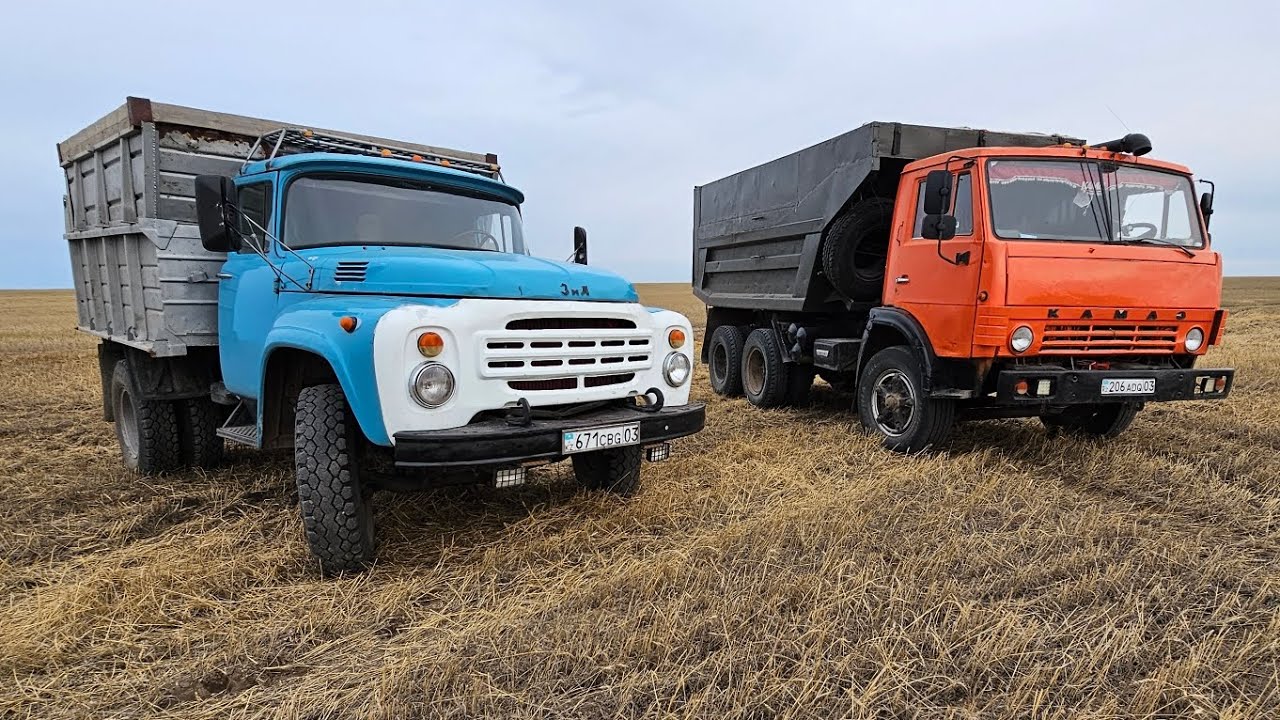 Камаз. Зил-130. Перевозка зерна с поля. Прошли сильные дожди. 