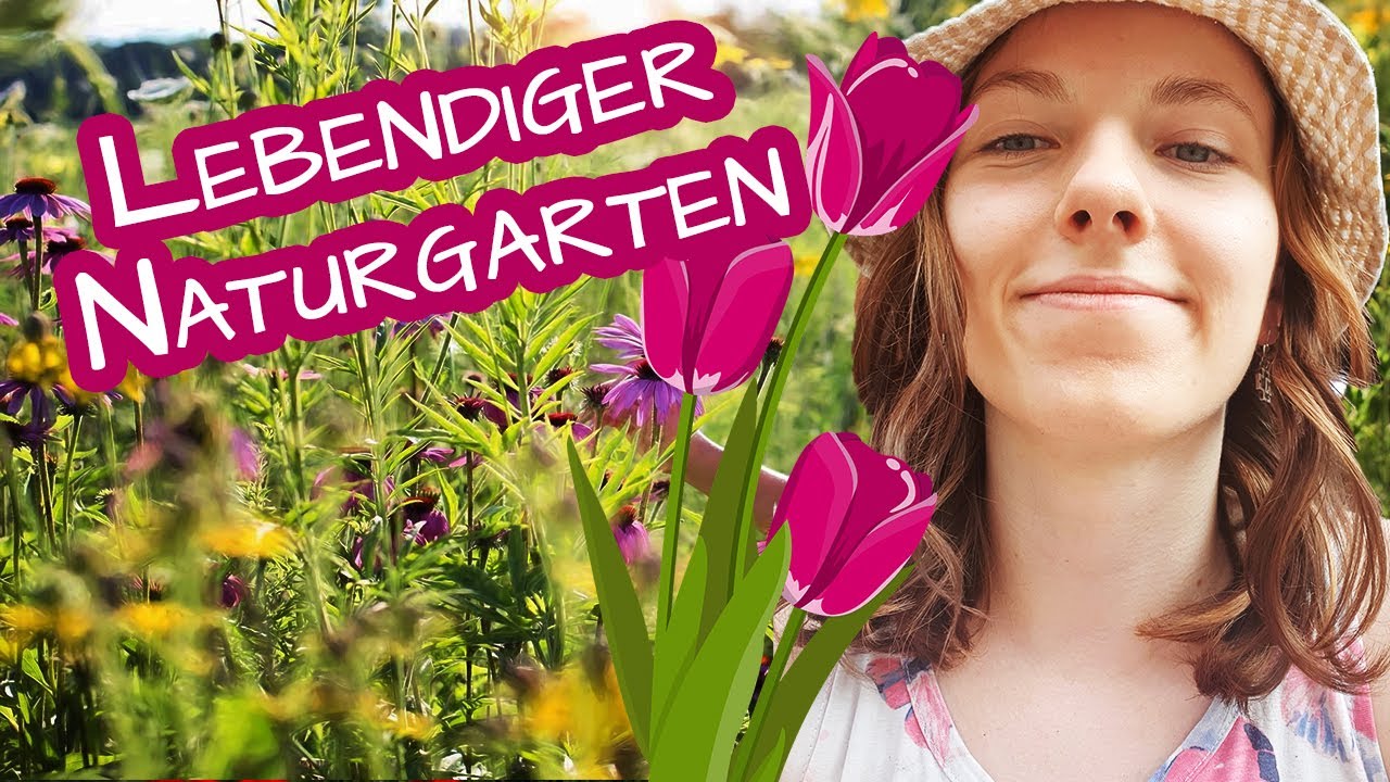 Der Naturgarten 🌷 Tipps für eine ökologische, tierfreundliche Oase