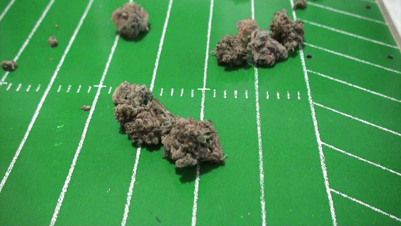 Sunshine #4 vs. Cough OG