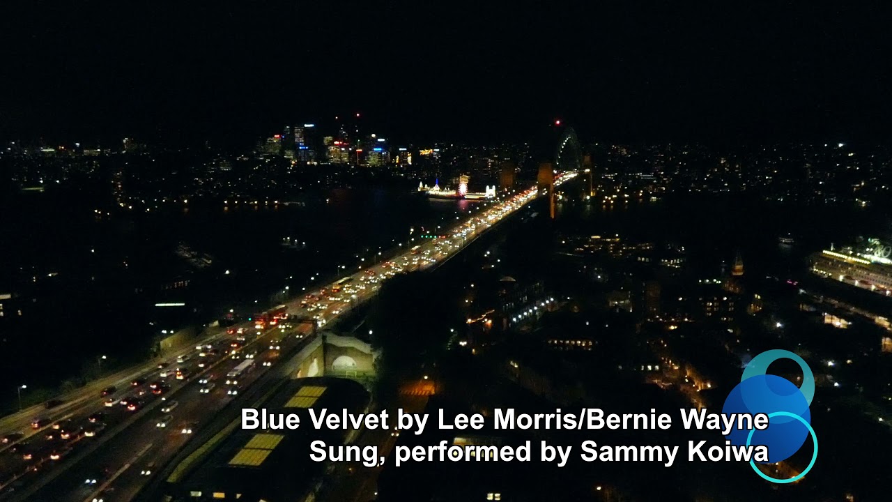 大滝詠一 Blue Velvet カバー
