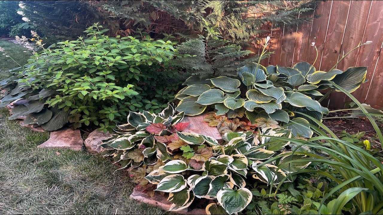 A New Garden Bed Goes From Weeds To A Promise
