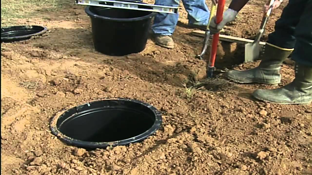 Pot-in-Pot Nursery Production