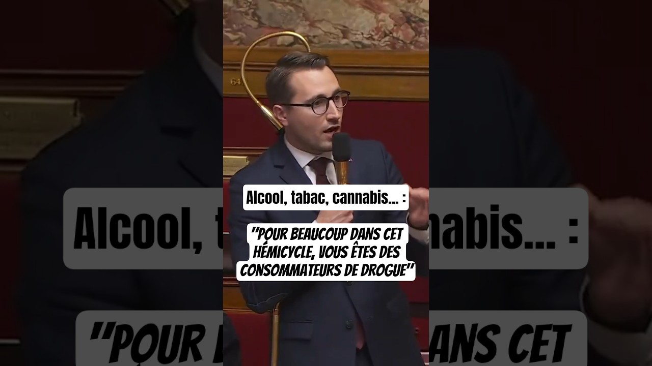 A.L&eacute;aument 