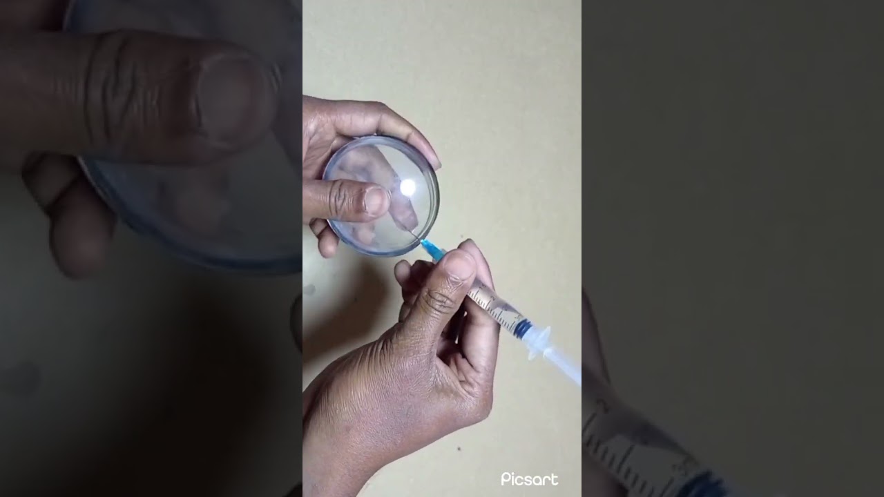 How to make Lens at home # magnifying glass #scienceproject #studyhacks #youtube #shorts #viral