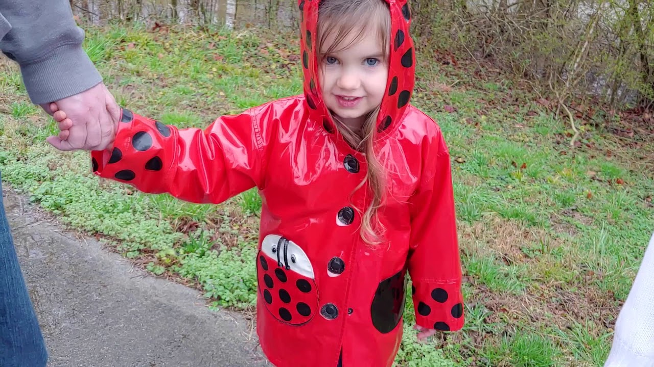 Flooding in the Great Smoky Mountains - Walland, Townsend, and the National Park