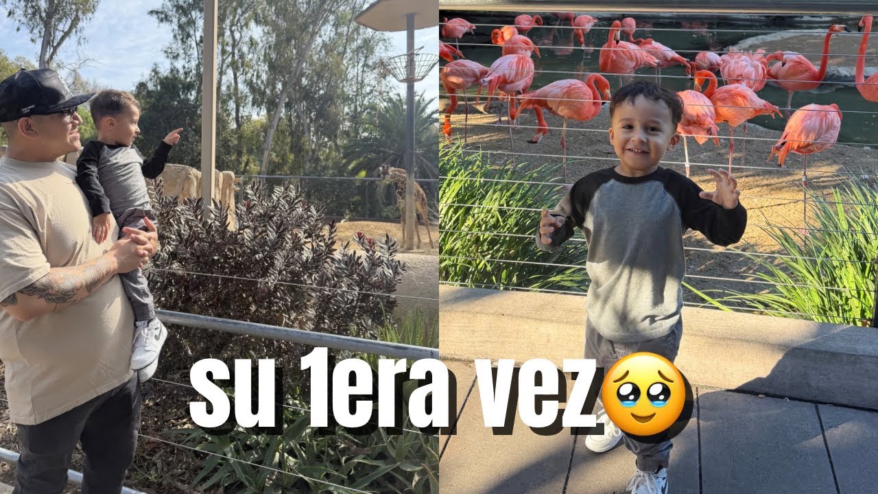 Nuestra primera vez en el Zoo de San Diego ❤️🐘