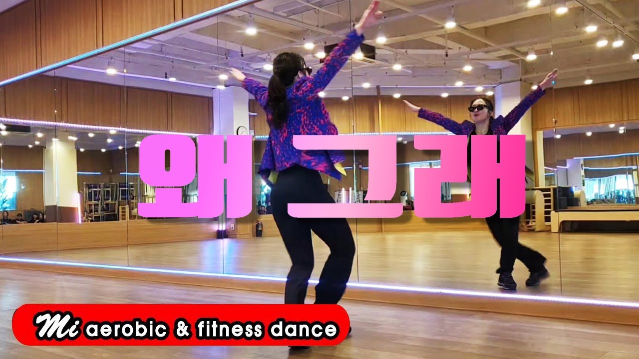 왜그래 (디토) 에어로빅 /신나는 댄스 /#DHD 드림하이댄스