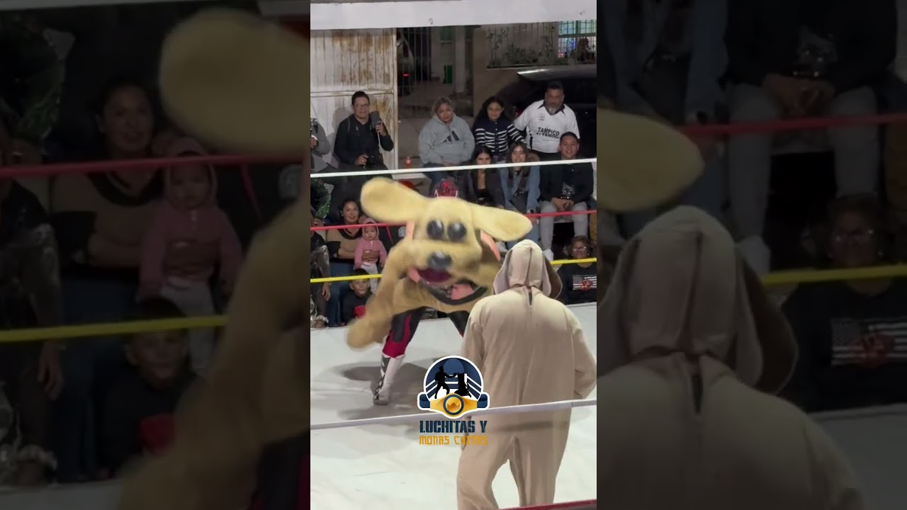 Lucha completa // Síndrome y Perro Guarumo vs Baby Extreme y Perro Wisin // Promociones San Roman