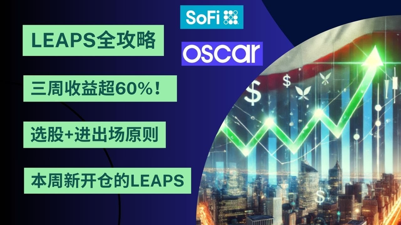 LEAPS期权投资完整指南 | 小资金3周获利62% | 为什么长期看涨期权能跑赢本股？| 选股原则 | 买卖时机 | 实战案例