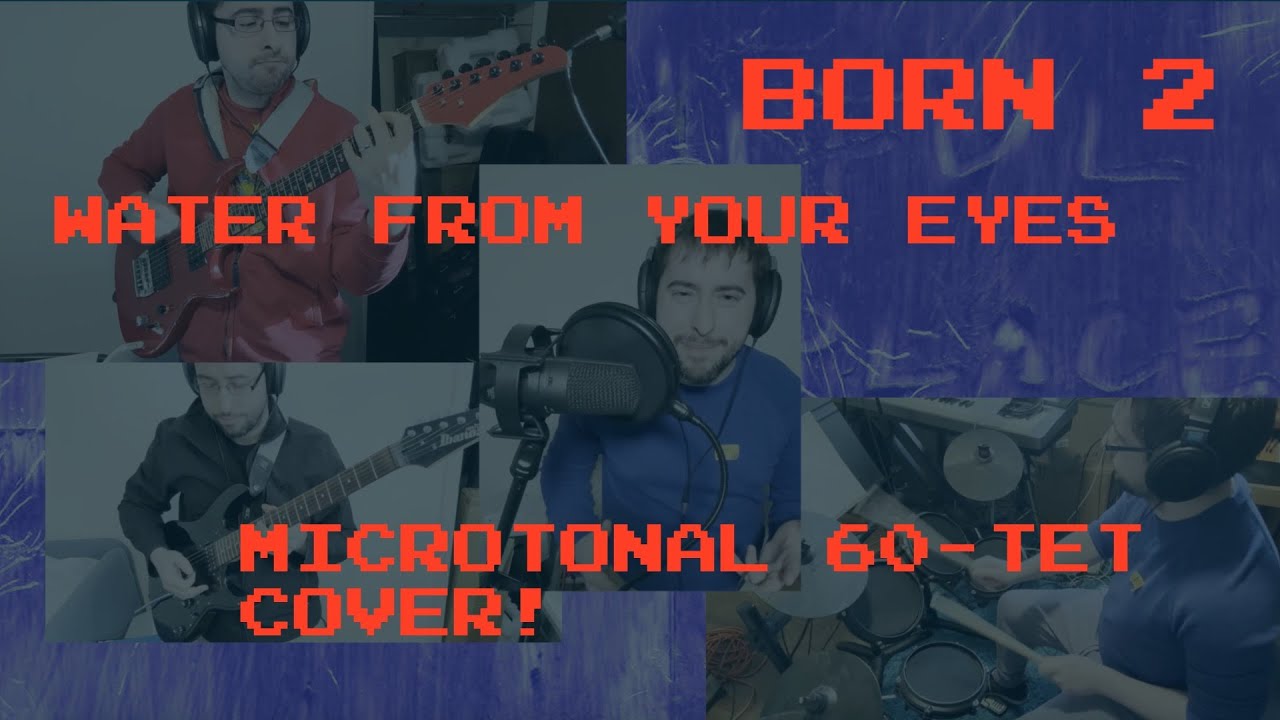 Born 2 - Water From Your Eyes (microtonal cover)!