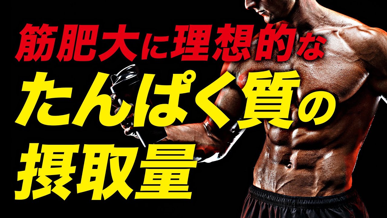 【筋トレ】理想のたんぱく質摂取量 | ボデイビルチャンピオンが解説【ビーレジェンド プロテイン】【ビーレジェンド プロテイン】