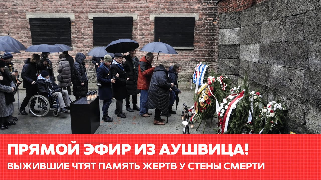 Выжившие чтят память жертв у Стены смерти в Освенциме #одиндень #новости