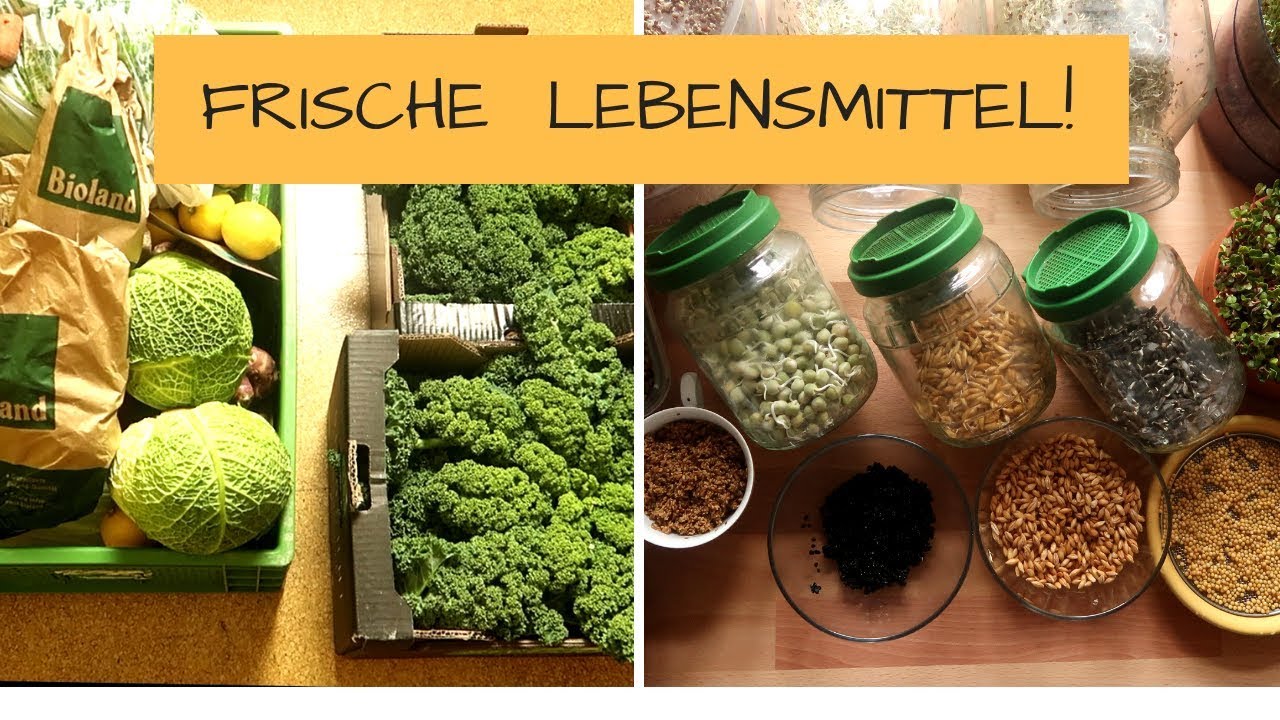 So viel bezahle ich  f&uuml;r meine Biokiste im Winter + Sprosseninvasion!