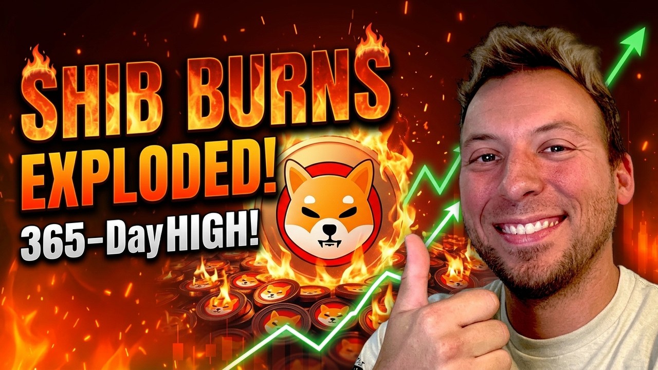 SHIBA INU &mdash; Сжигание SHIB взлетело!!! Максимум за 365 дней! Продолжится ли это?!