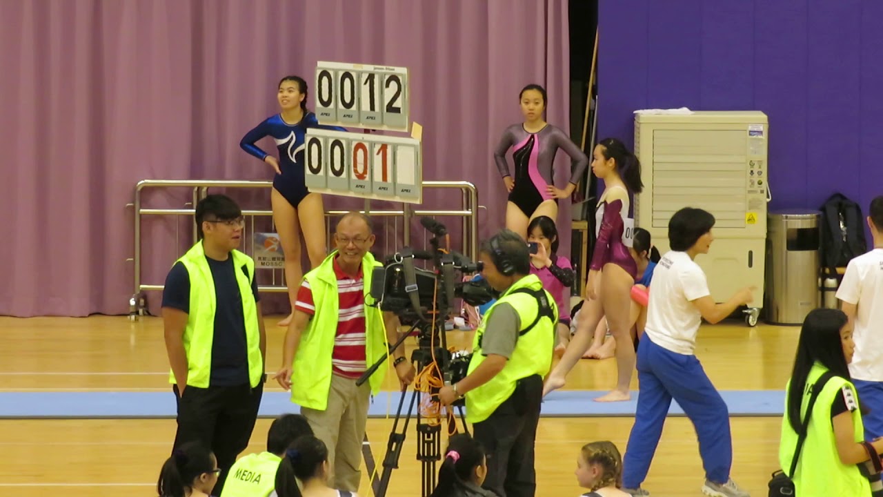 梁凱童 - VT1 - 2019 HK Inter-Secondary Schools Gymnastics Competition