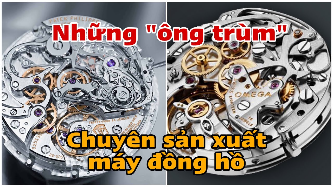 TỔNG QUAN VỀ CÁC NHÀ MÁY : ETA, SELLITA, MIYOTA, SEIKO VÀ SEAGULL - CÁC ÔNG TRÙM LÀM MÁY!
