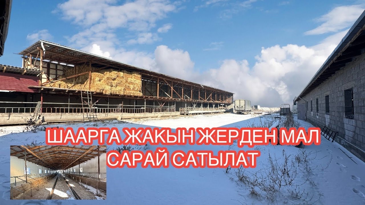 МАЛ САРАЙ САТЫЛАТ ВОЕННО АНТОНОВКА БИШКЕК 2024