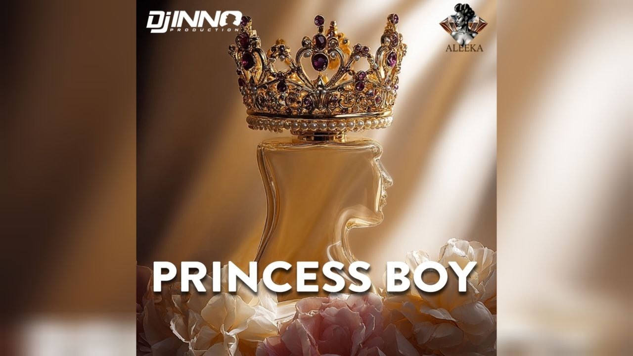 Princess Boy - DJ Inno & Aleeka (Lyrics Video)