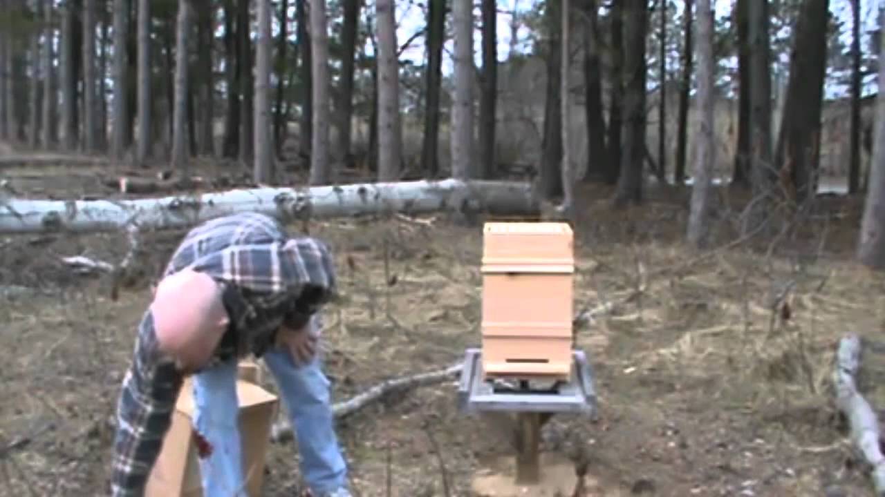 How to set up a Warre hive